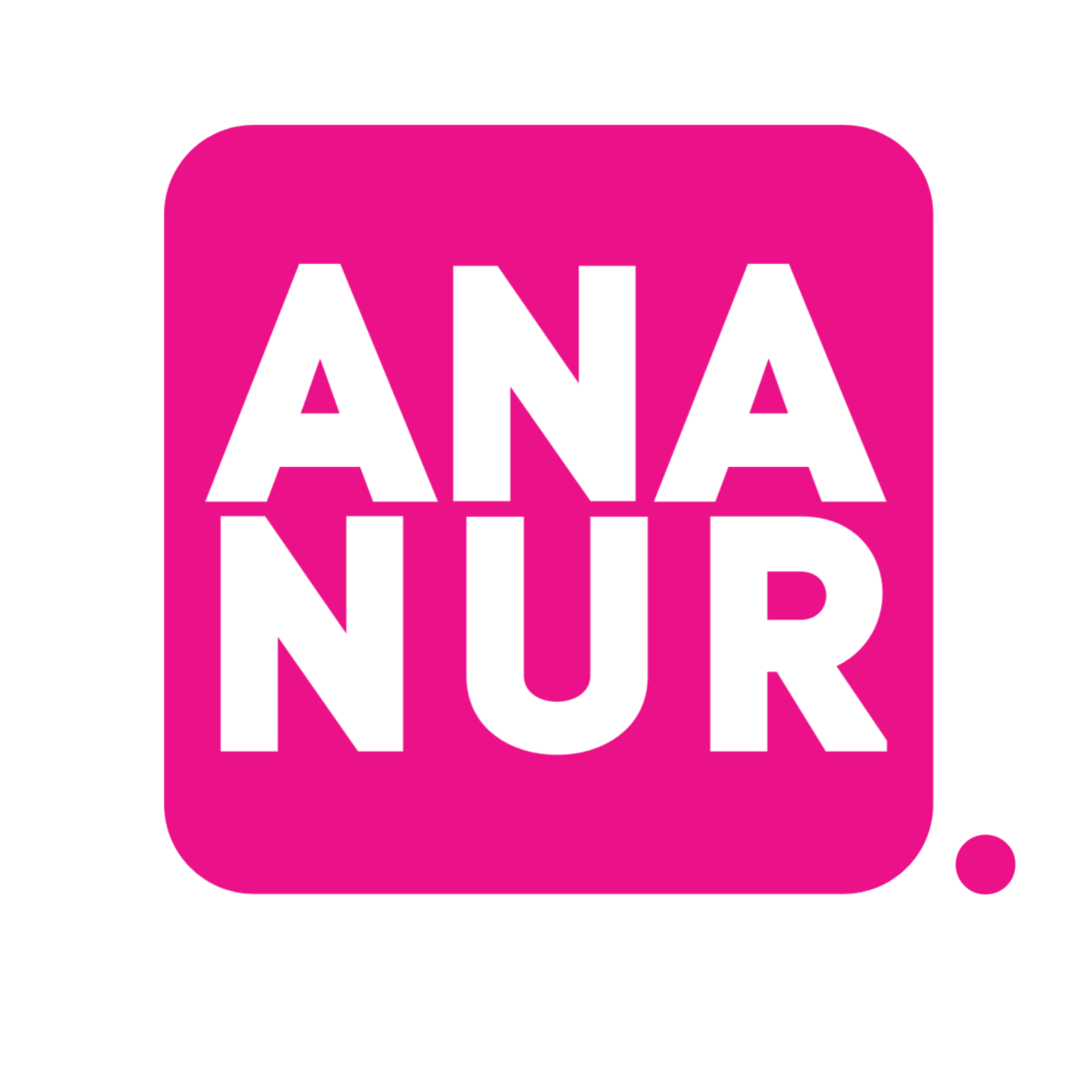 logo ana nur_V6