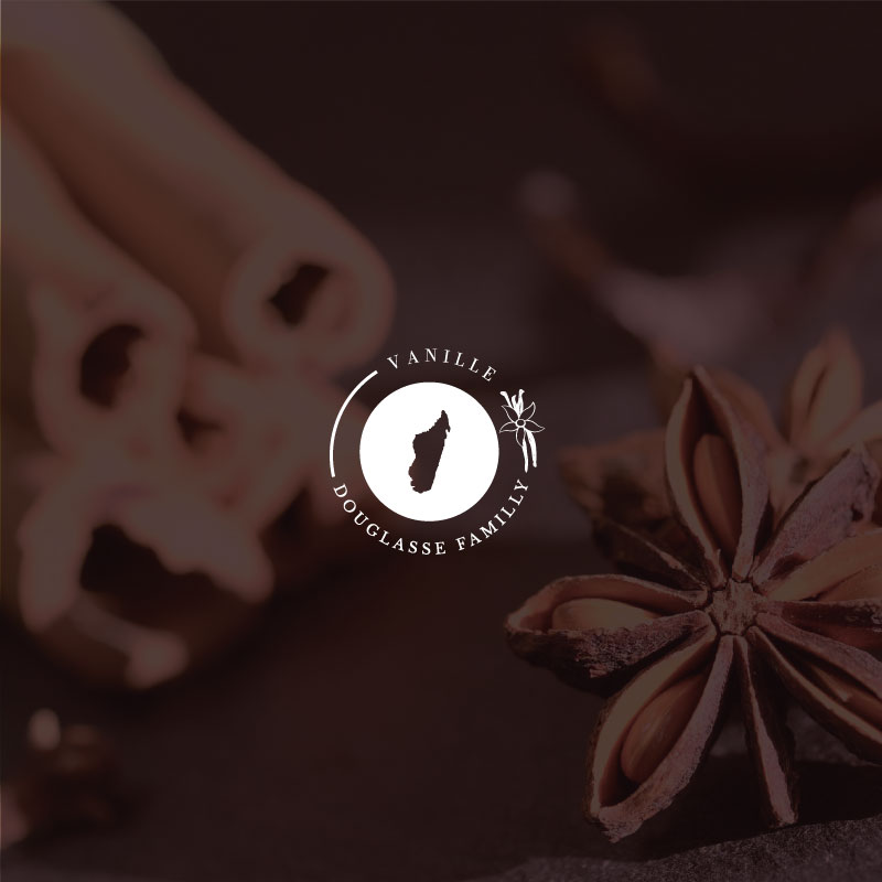 logo-vanille_Plan-de-travail-1