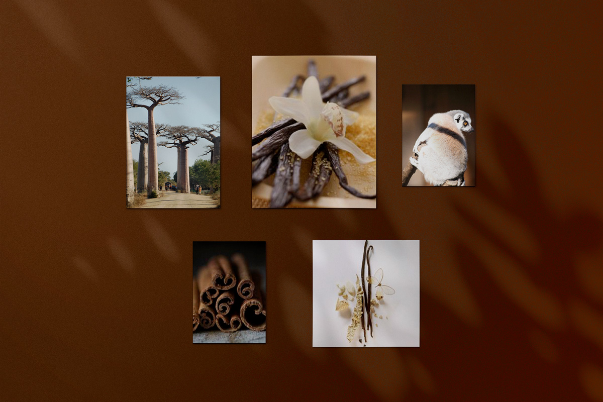 moodboard