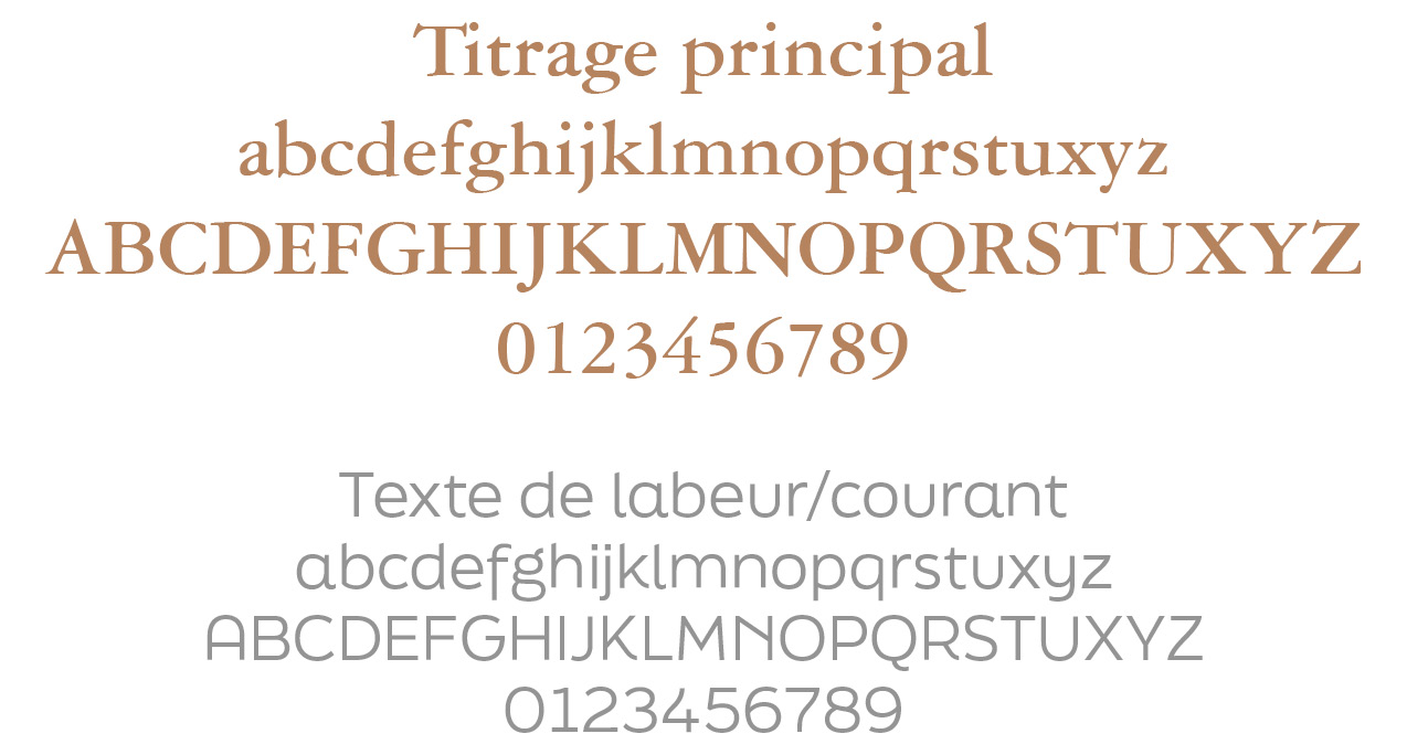 TYPO
