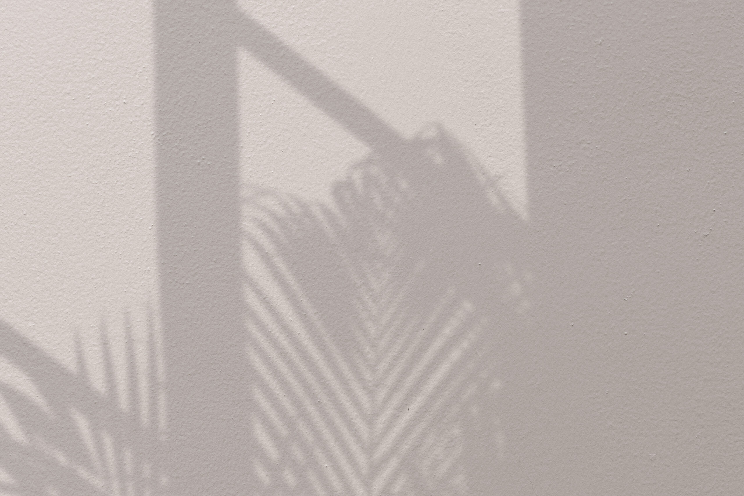 Background with palm tree and window shadow